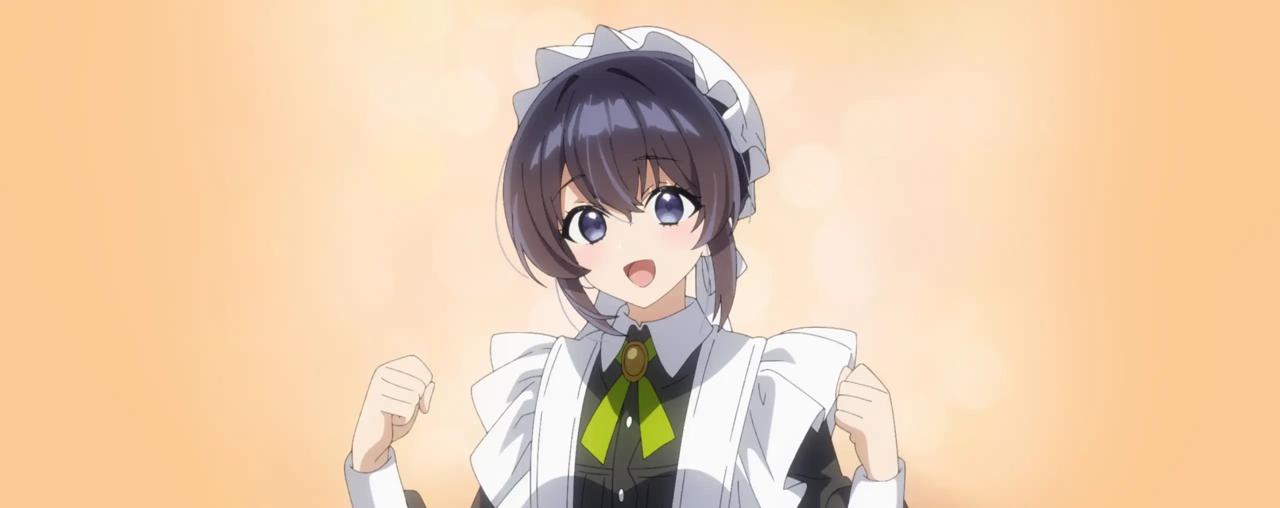 Heroine? Seijo? Iie, All Works Maid desu (Ko)!