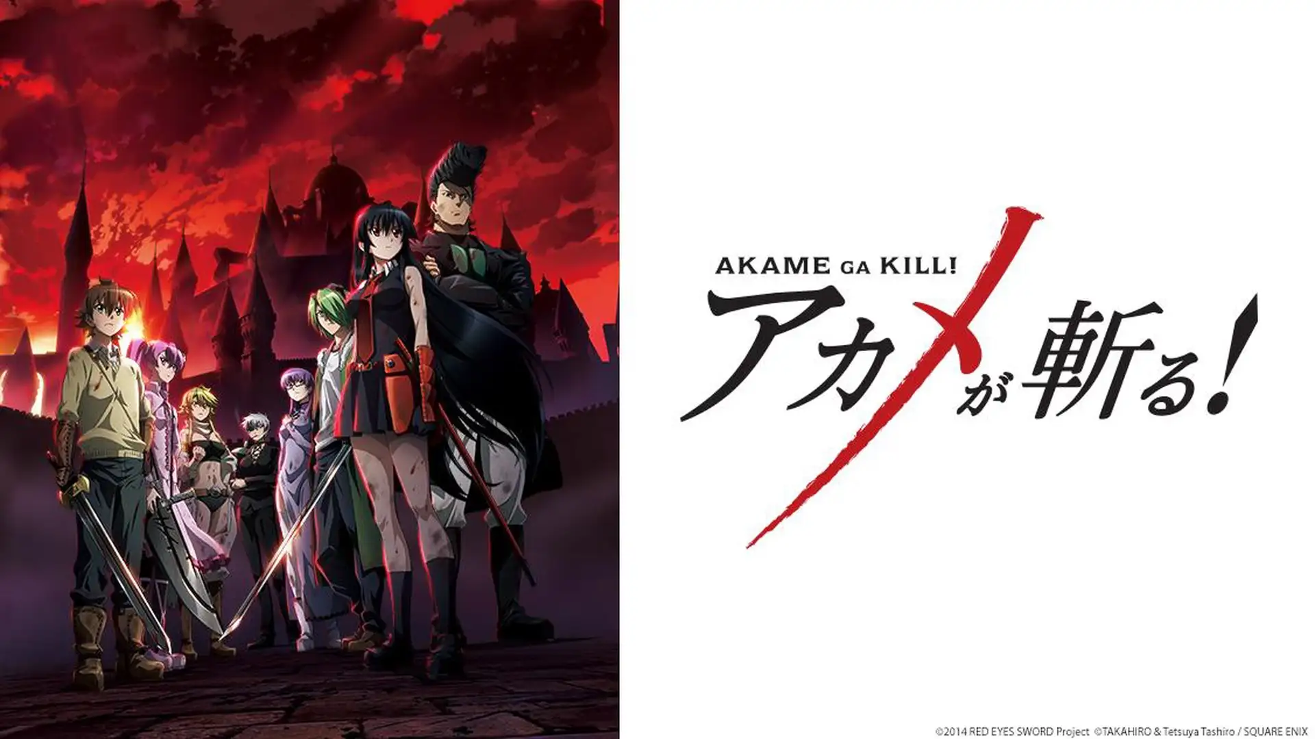 Akame ga Kill!