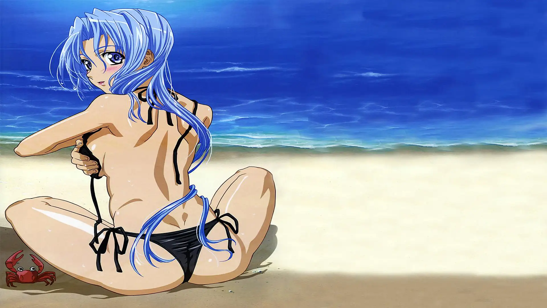 Hanaukyou Maid-tai: La Verite