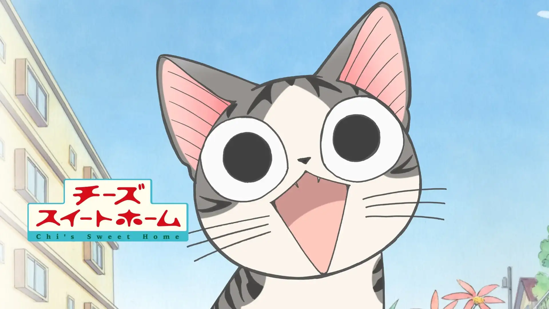Chi's Sweet Home