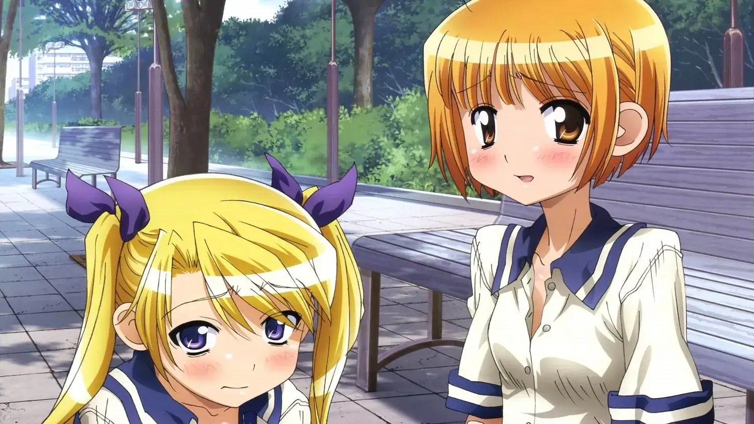 Oniichan no Koto nanka Zenzen Suki ja Nai n da kara ne!!
