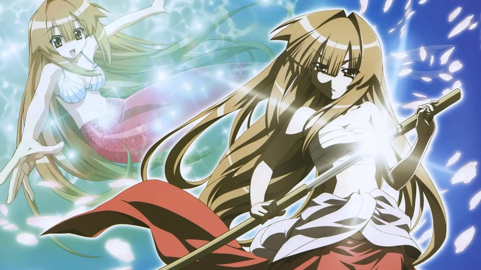 Seto no Hanayome OVA