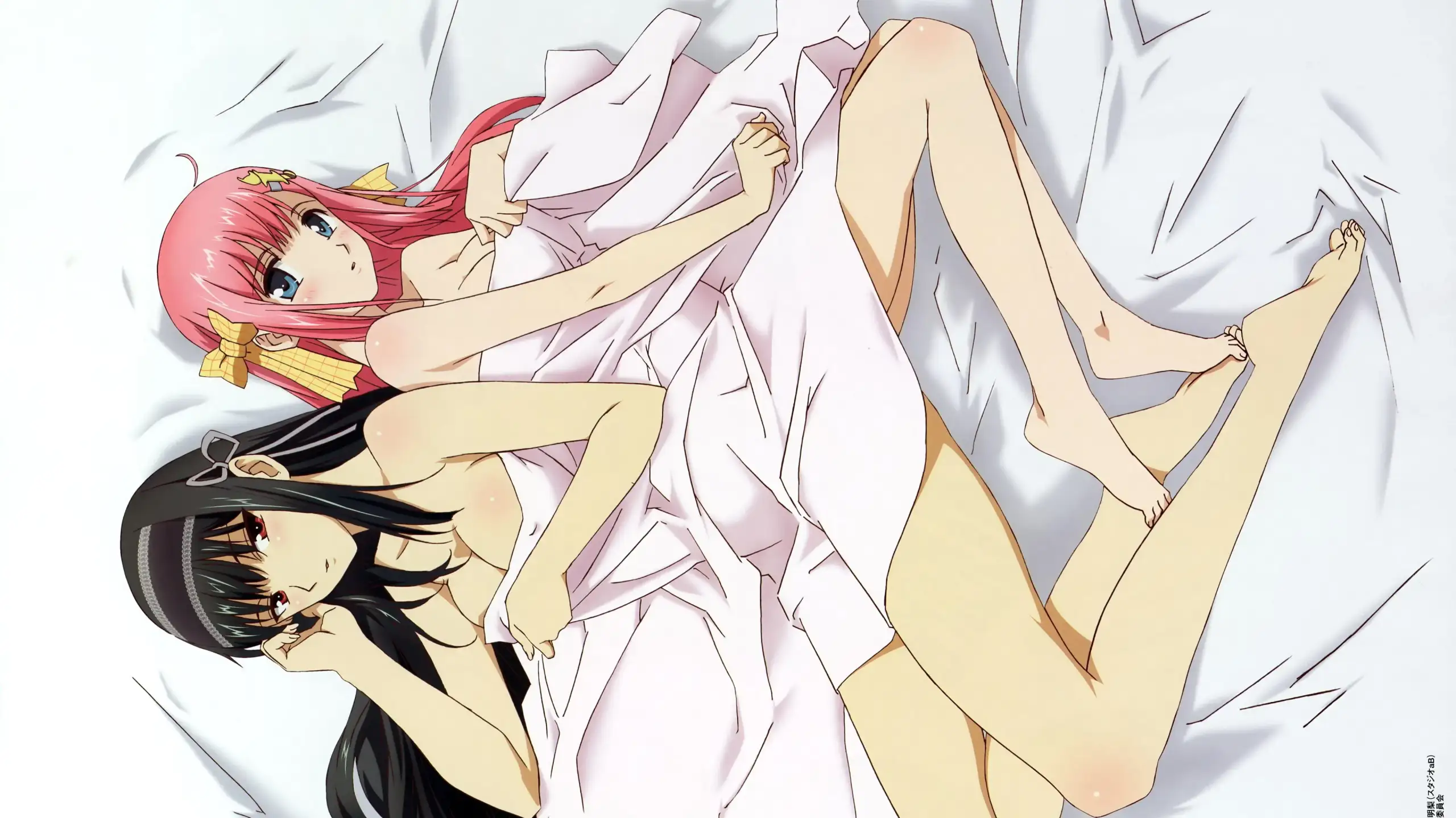 Kimi ga Aruji de Shitsuji ga Ore de