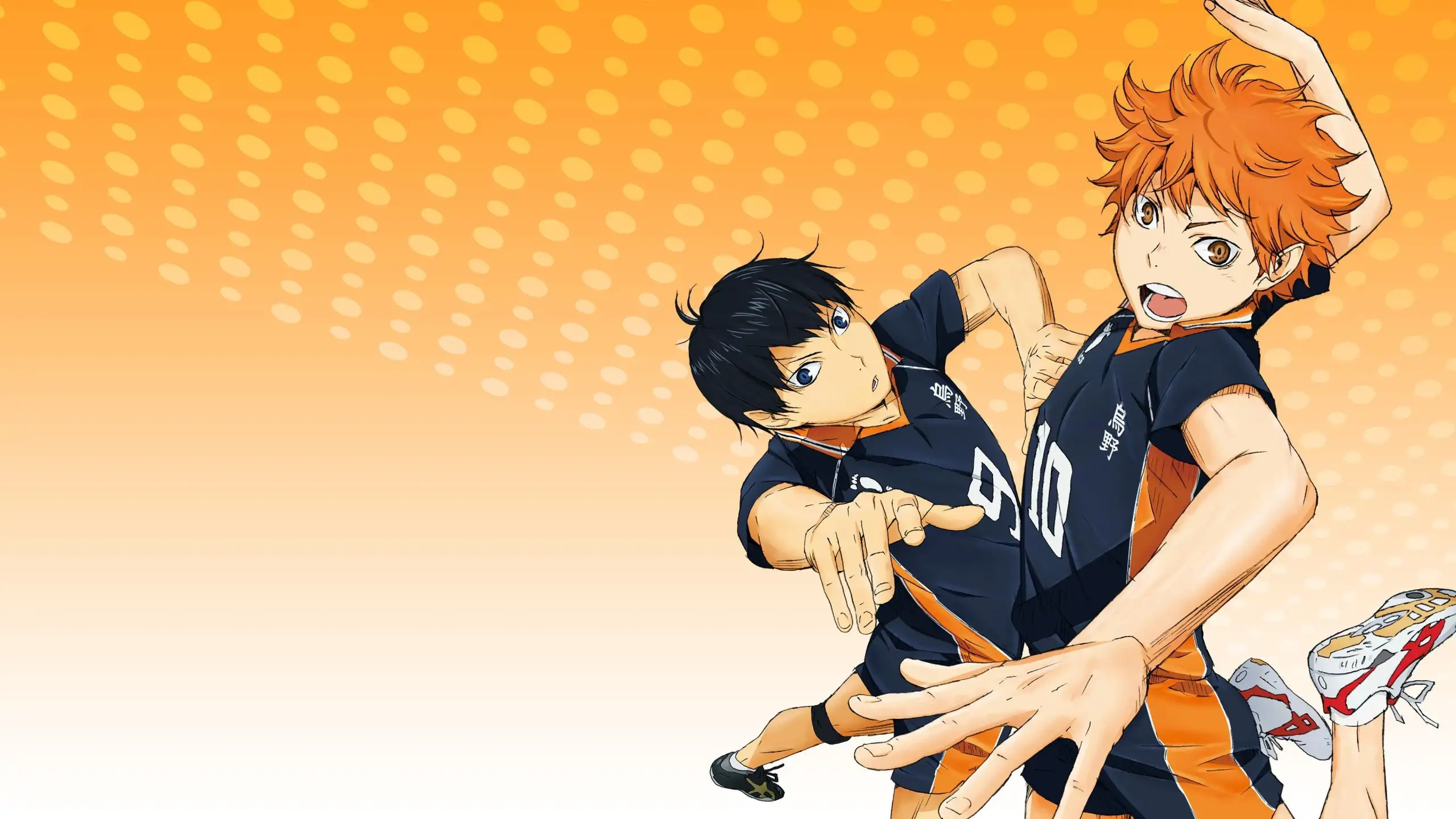 Haikyuu!! Tokushuu! Haru-kou Volley ni Kaketa Seishun