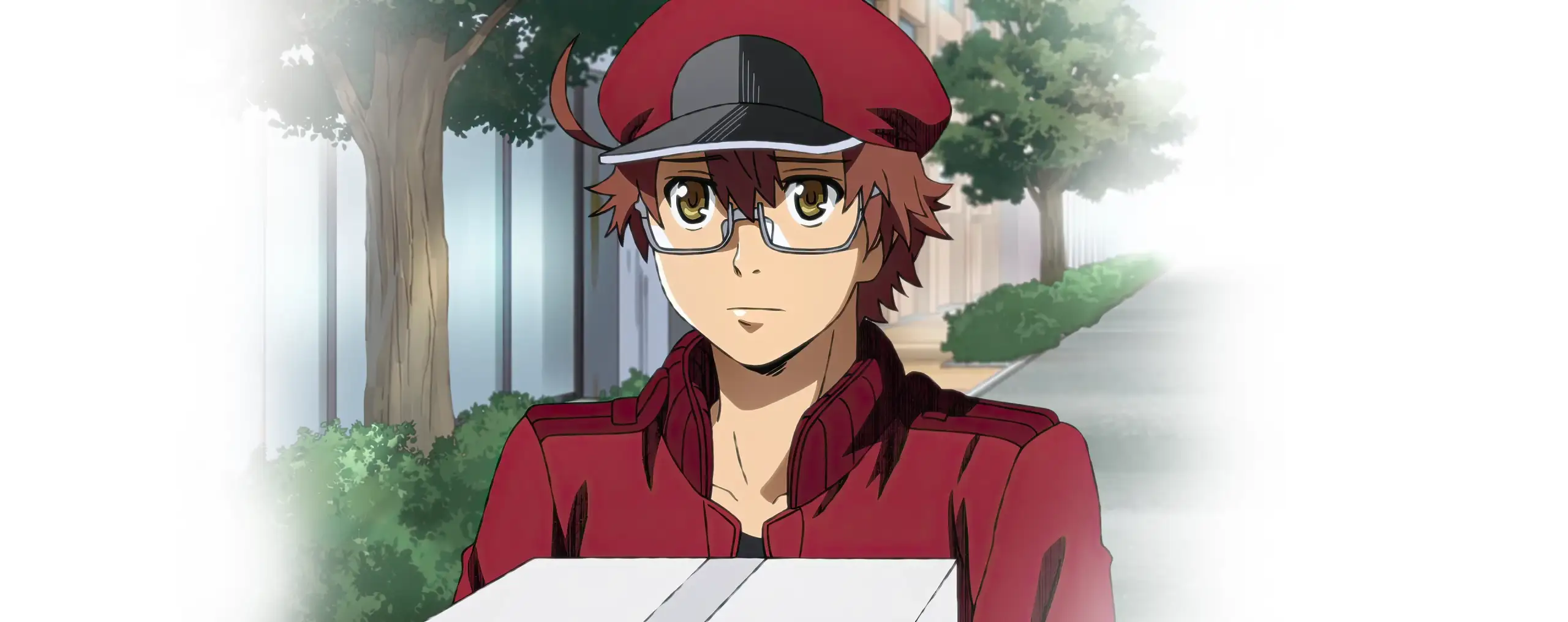 Hataraku Saibou Black
