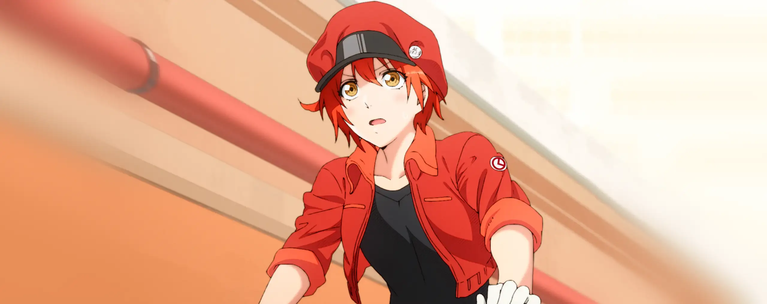 Hataraku Saibou
