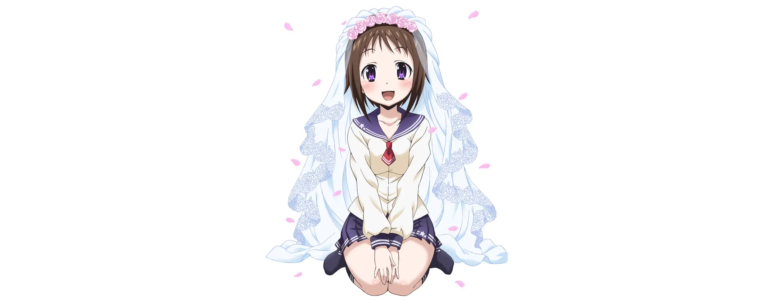 Okusama ga Seitokaichou!
