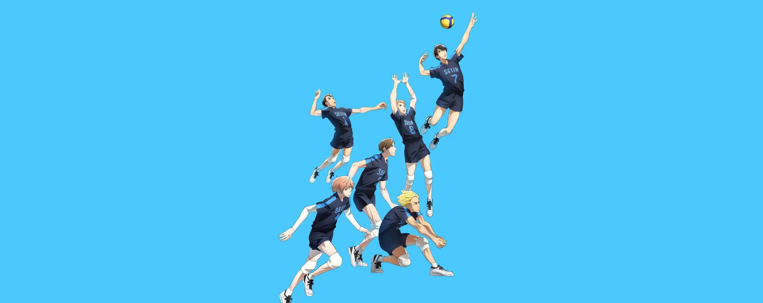 2.43: Seiin Koukou Danshi Volley-bu