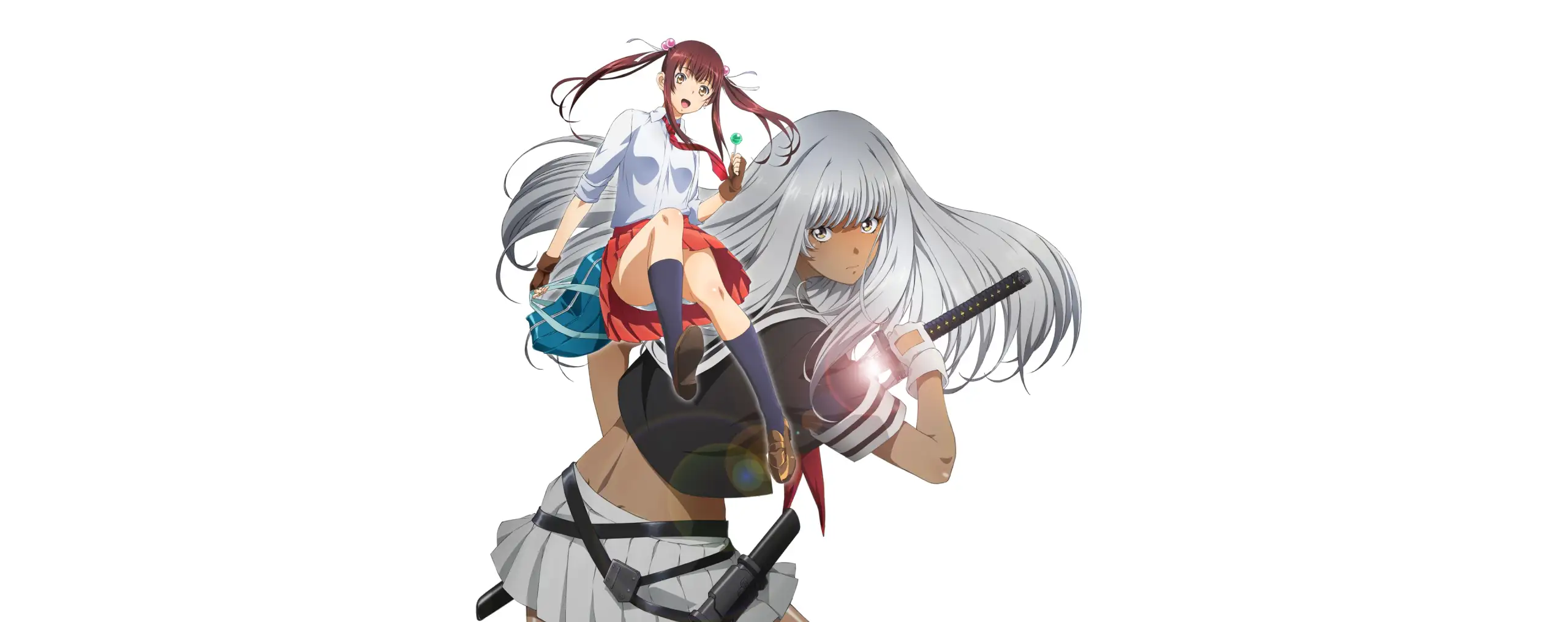 Shin Ikkitousen