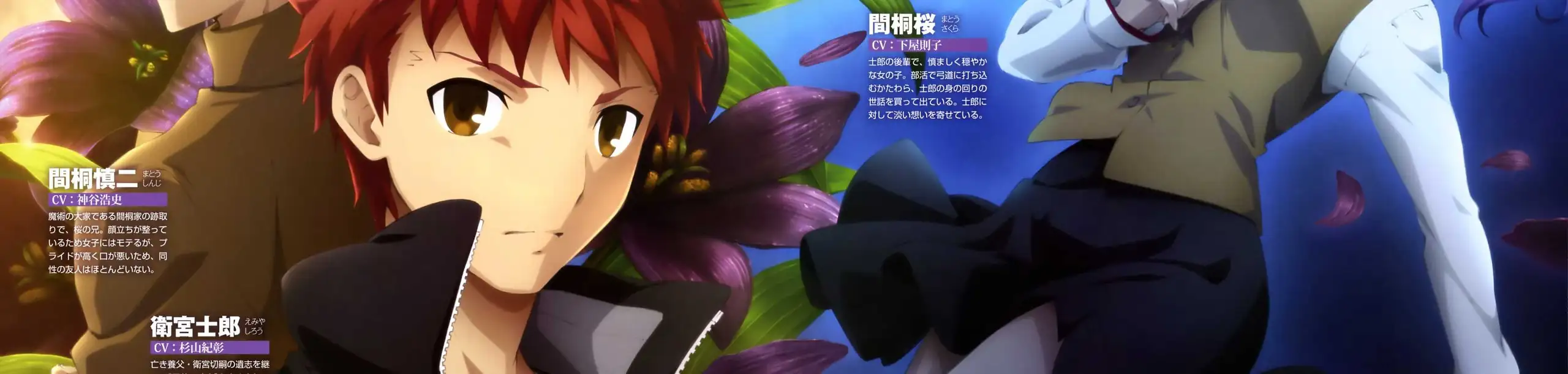 Fate/stay night [Heaven's Feel] II. lost butterfly