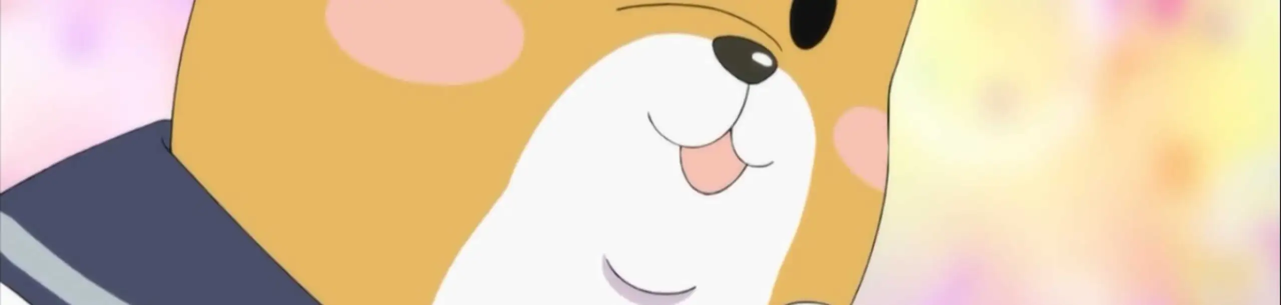 Shiba Inuko-san