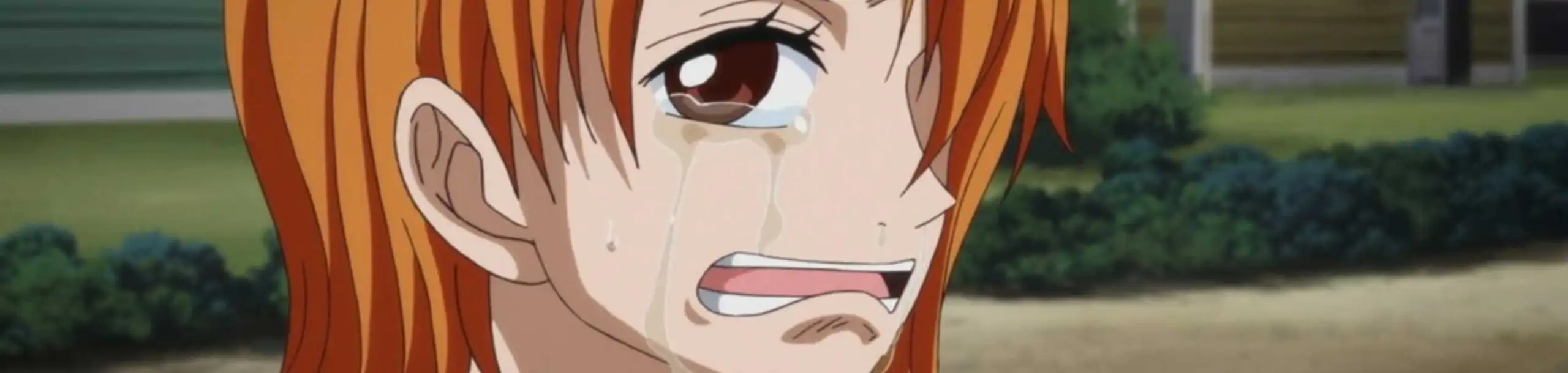 One Piece: Episode of Nami - Koukaishi no Namida to Nakama no Kizuna