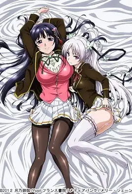Ojousama Yomeiri Kousou!