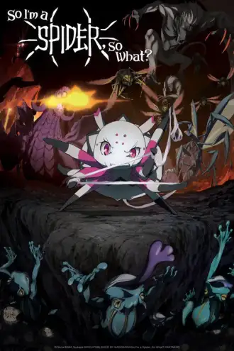 Kumo desu ga, Nani ka?