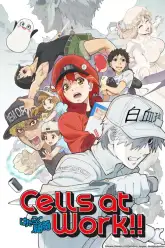 Hataraku Saibou