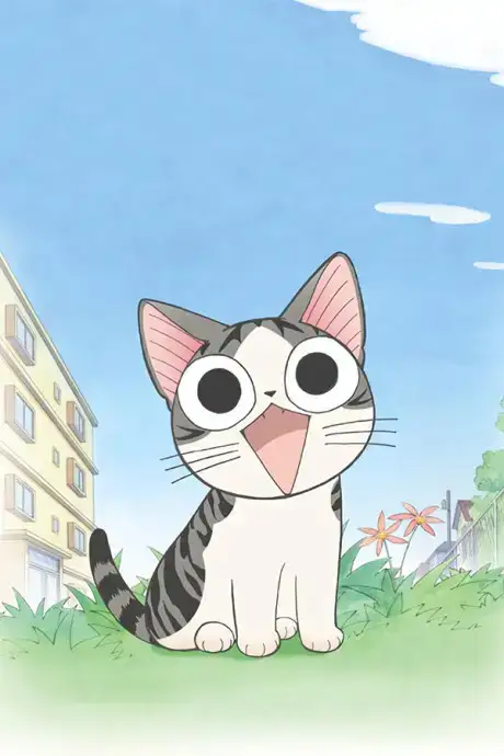 Chi's Sweet Home
