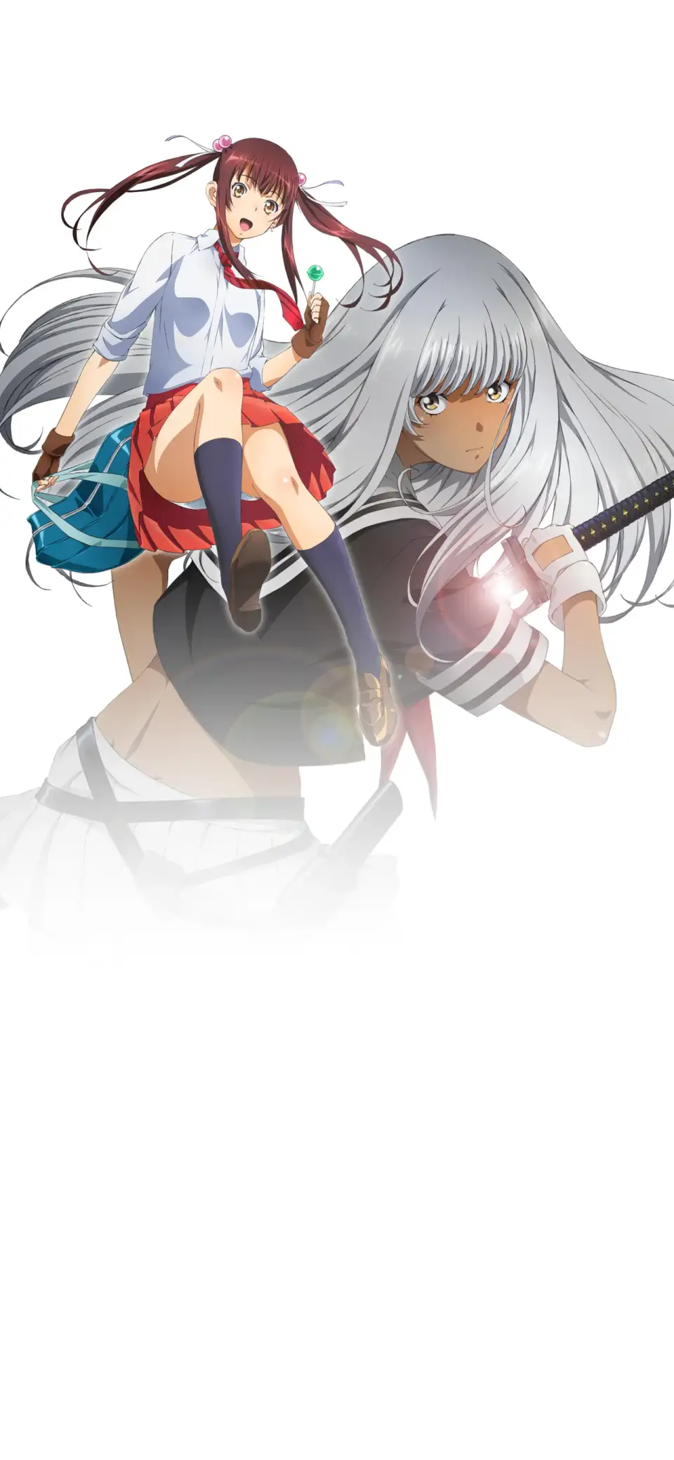 Shin Ikkitousen